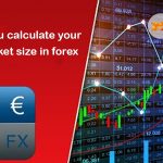 Top 10 Best and Popular Indicators in Forex