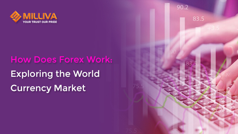 How Does Forex Work: Exploring the World Currency Market