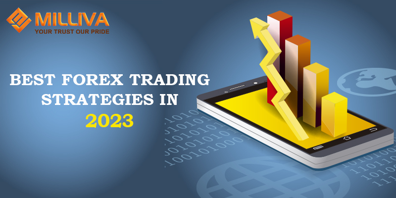 Discover the Top Forex Trading Companies in Hyderabad for Lucrative Investment Opportunities