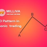 Shark Harmonic Pattern to Trade in Forex Trading