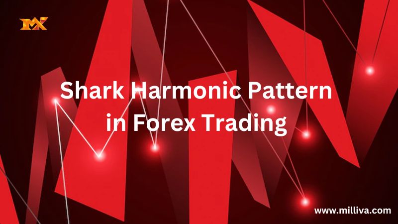 Shark Harmonic Pattern in Forex Trading