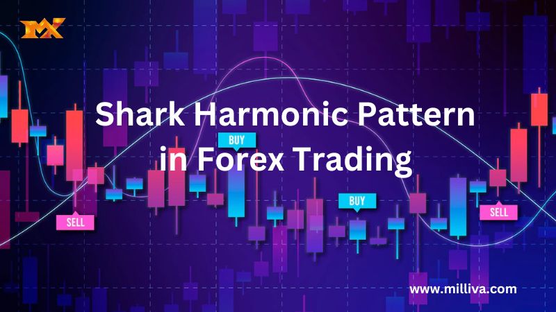 Shark Harmonic Pattern in Forex Trading