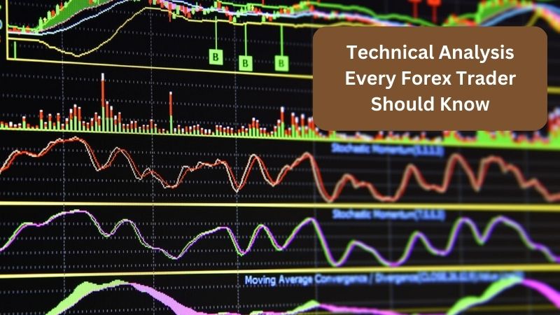 Technical Indicators - Best Forex Brokers In India