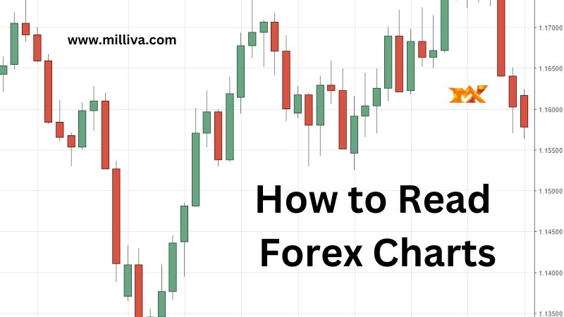 Read to Forex Charts
