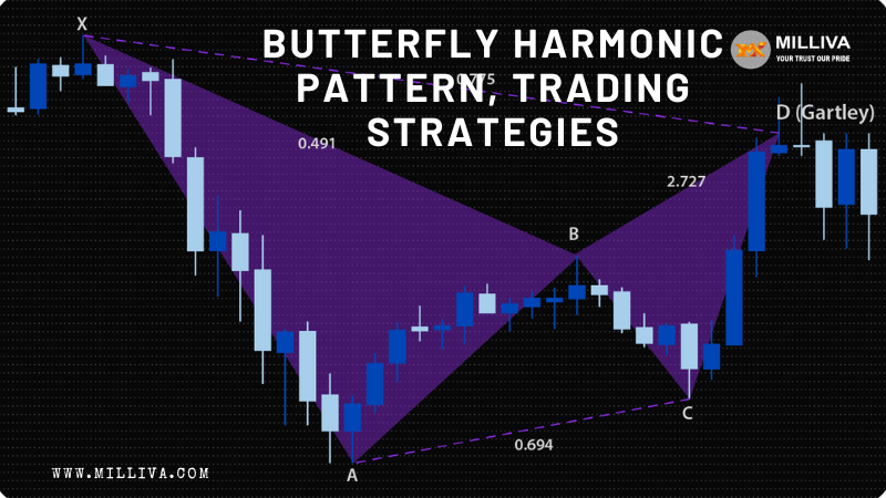 Butterfly Harmonic Pattern