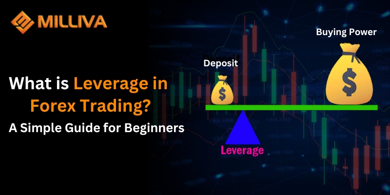 What is Leverage in Forex Trading?A Simple Guide for Beginners