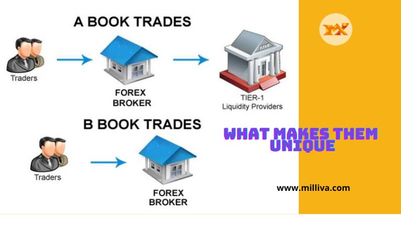 Milliva-Best Forex Brokers In The World