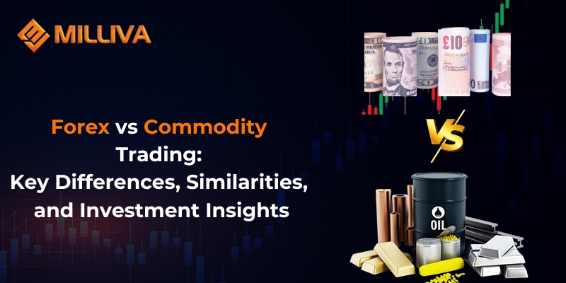 Forex vs Commodity Trading: Key Differences and Insights