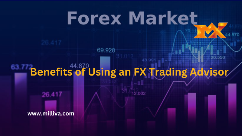 Expert advisor in forex