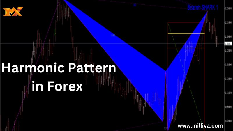 Harmonic Pattern in Forex 