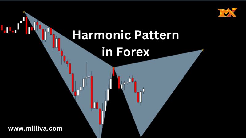 Harmonic Pattern in Forex