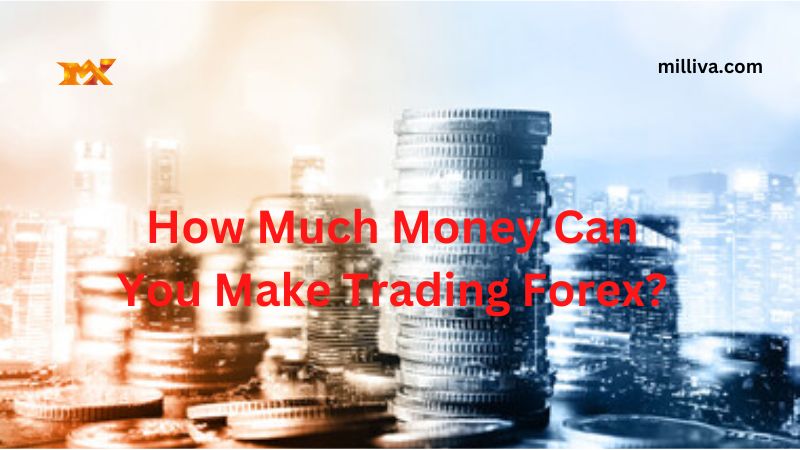 How Much Money Can You Make Trading Forex 