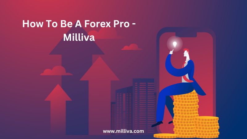Pro In Forex - Best Forex Company In India
