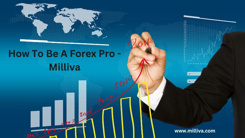 Pro In Forex - Best Forex Company In India
