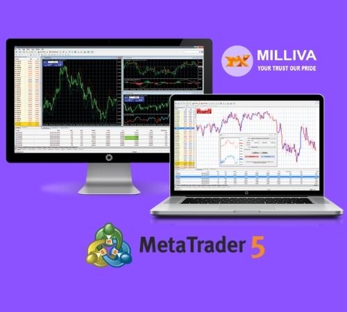 Install MetaTrader5 for Your Windows