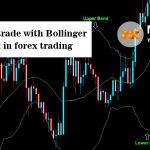 How to Use Hedging in Forex Trading