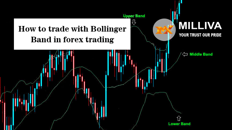 Bollinger Band in Forex Trading Strategy