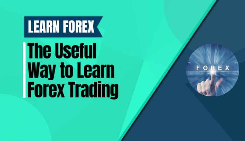 Top Books for Forex Trading