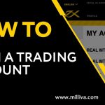 Why Focused To Choose Milliva Ltd