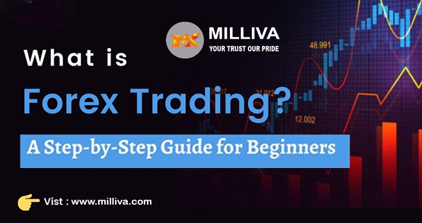 Forex trading beginners