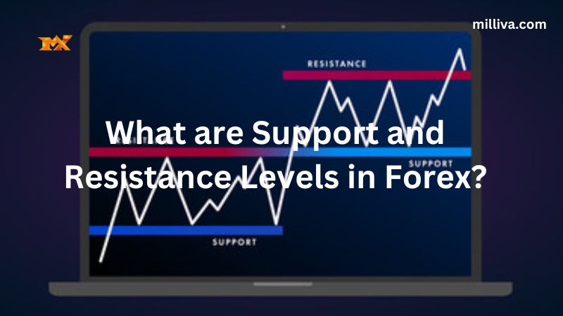 What are Support and Resistance Levels in Forex