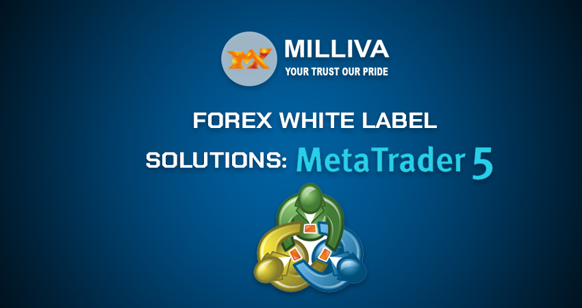 forex White Label Solution