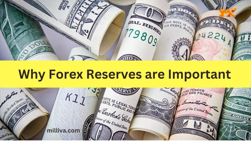 Why Forex Reserves Are Important