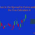 How to Understand the Forex Spread
