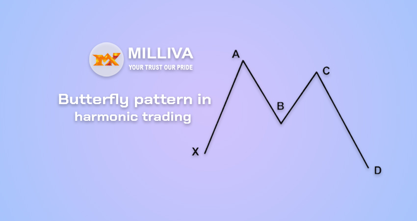 How To Trade the Harmonic Butterfly Pattern