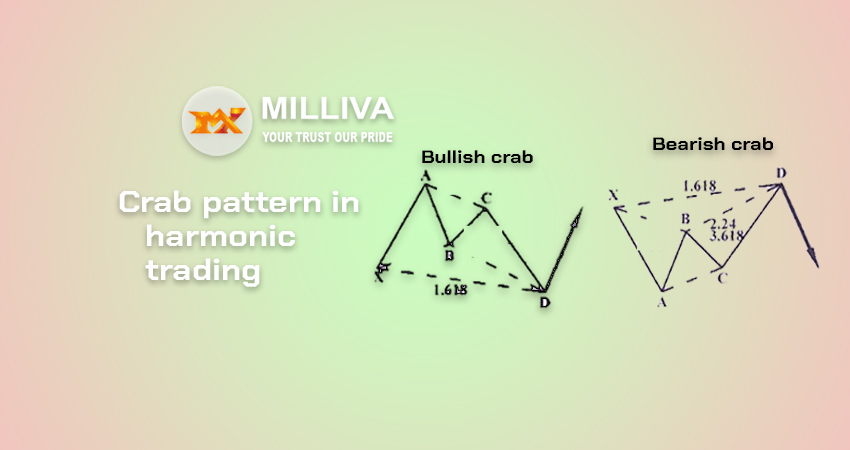 crab pattern in forex