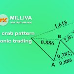Crab Pattern in Harmonic Trading in Forex