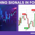 What Is the Best Leverage for Forex Trading?
