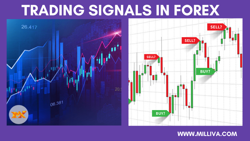 Trading Signals in Forex