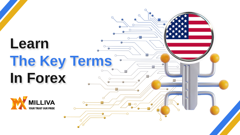 The Key Terms In Forex