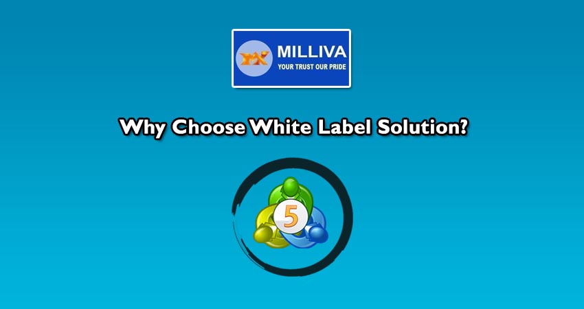 best forex white label solutions