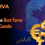 Best Forex Broker in UAE for 2025