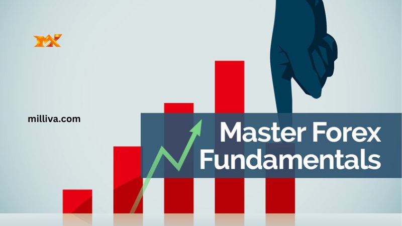 What are Forex Fundamentals