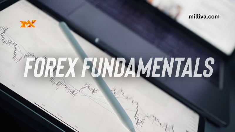 What are Forex Fundamentals