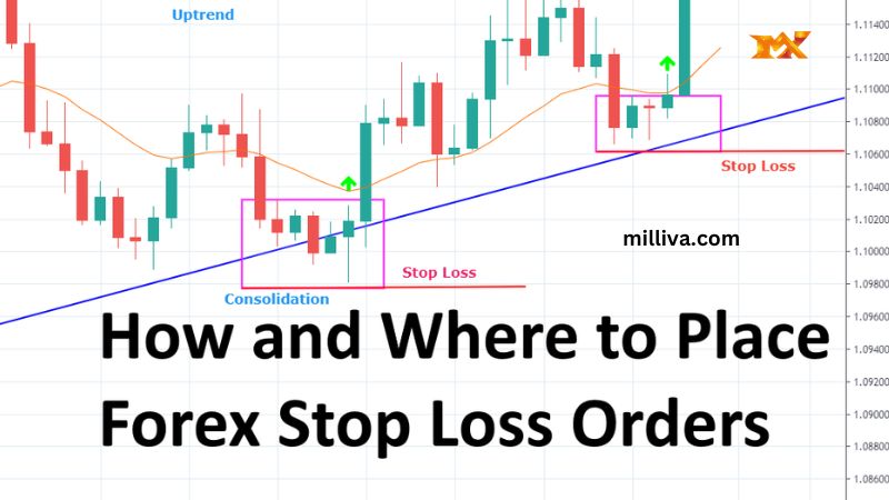 How to Set Stop Loss in Forex