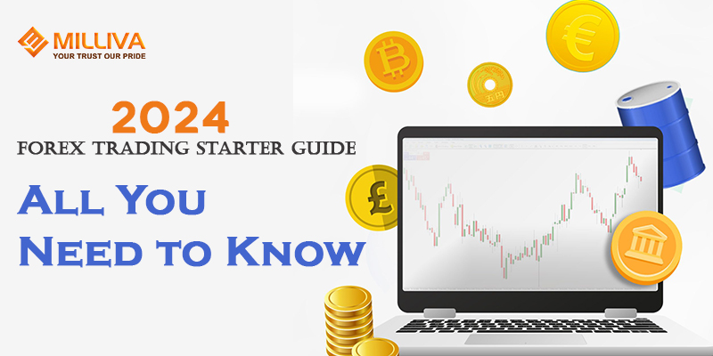 2024 Forex Trading Starter Guide: All You Need to Know