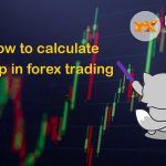 How to Choose the Right Forex Broker?