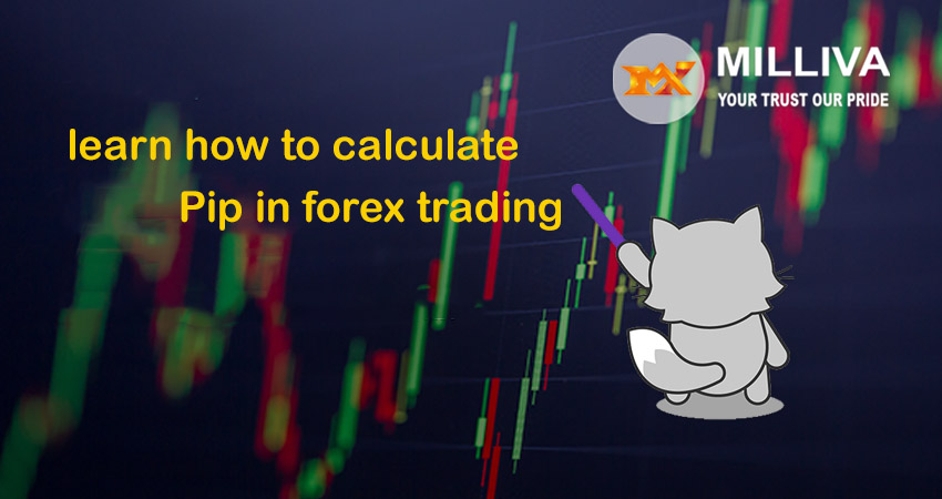 Pip in forex trading