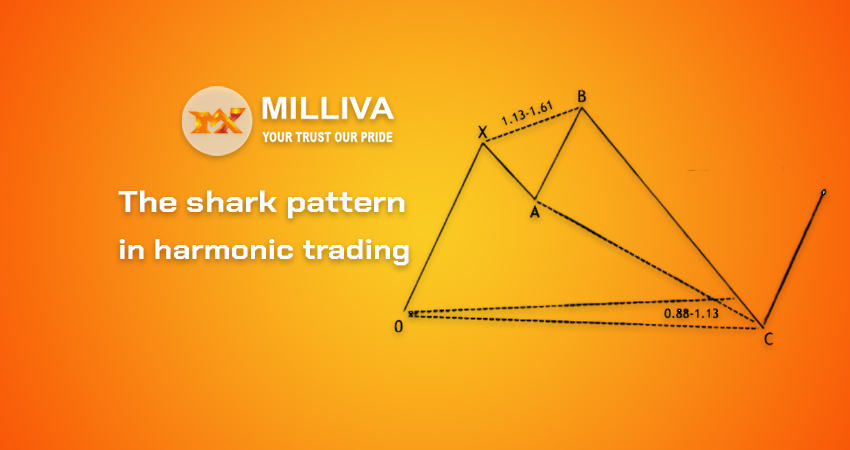 Milliva shark pattern