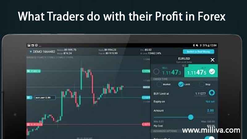 traders-profit