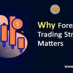What Strategies are Used in Forex Trading