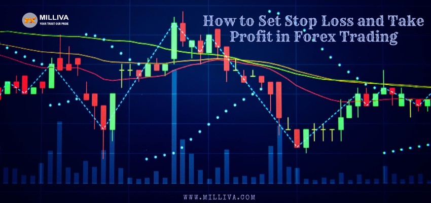 How to Set Stop Loss and Take Profit in Forex Trading