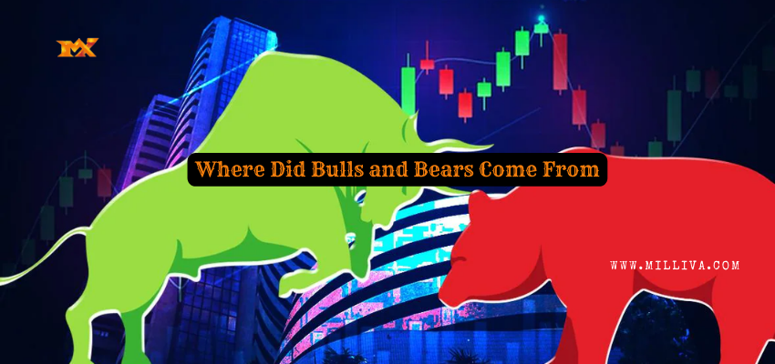 Where Did Bulls and Bears Come From