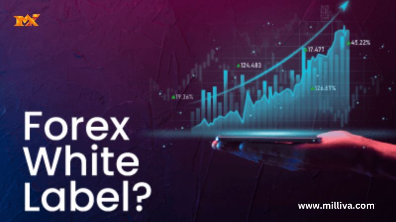 Forex White Label Solutions 